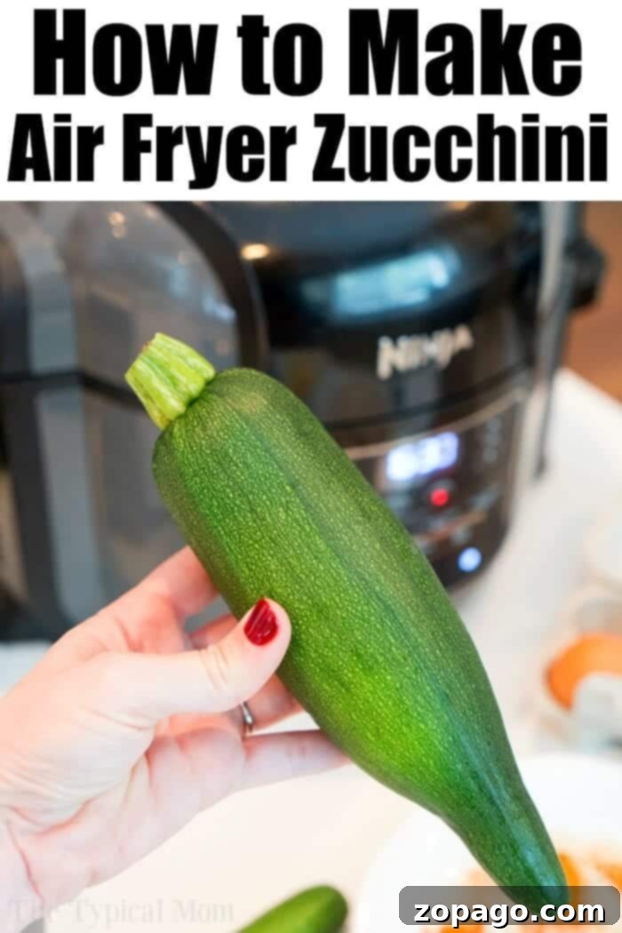 Crispy Air Fryer Zucchini Ideas 3 Golden brown air fried zucchini slices on a plate, ready to be served as a side dish.