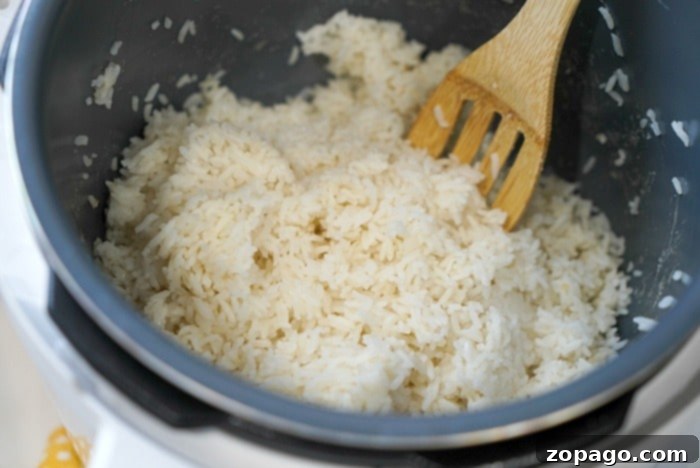 Perfectly cooked white rice, ready to serve