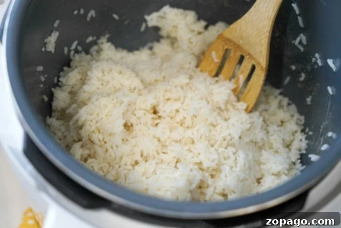 Mastering Fluffy Long Grain White Rice 3 A bowl of fluffy white rice, ready to be served