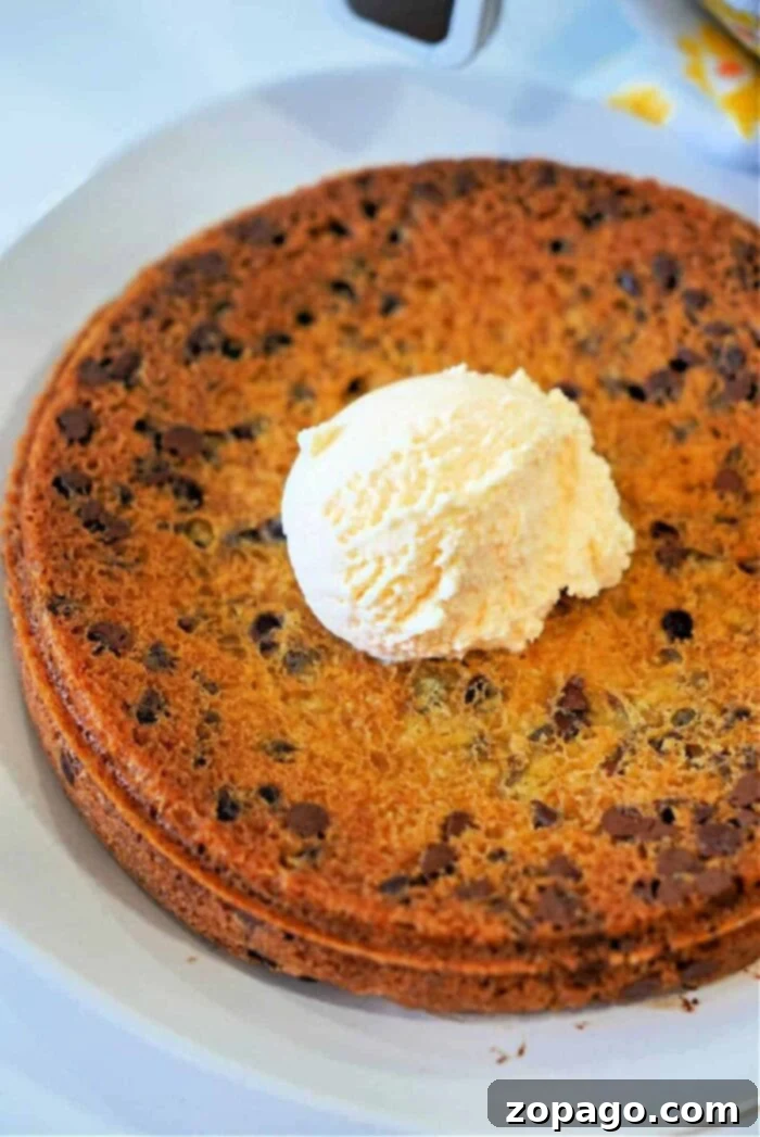 Warm Gooey Pizookie Bliss 2 How to make a Pizookie in an air fryer, perfect for a quick and easy dessert.