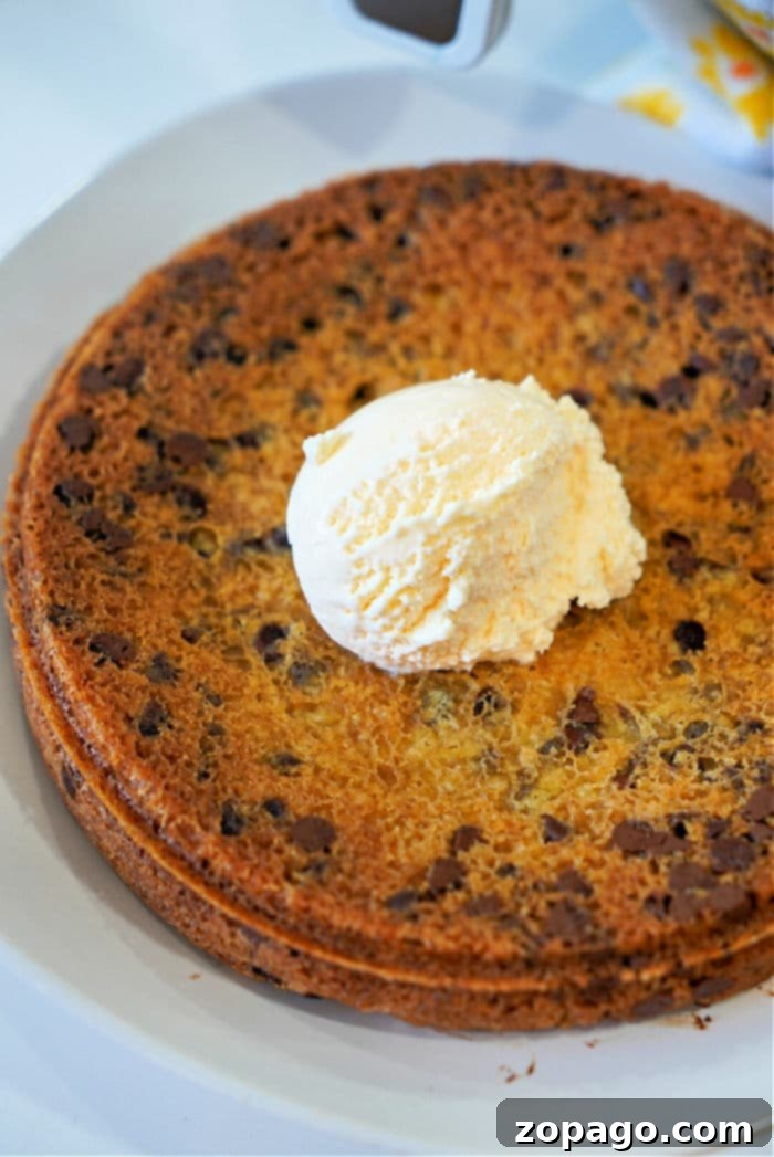 Warm Gooey Pizookie Bliss 6 A delightful Pizookie, ready to be served and enjoyed.
