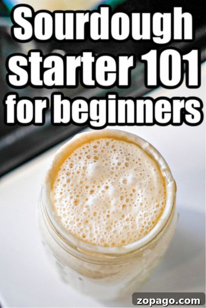 Homemade Sourdough Starter with All-Purpose Flour 2 How to Make Sourdough Starter From Scratch: A clear glass jar filled with a bubbly, active sourdough starter, showcasing the natural fermentation process.