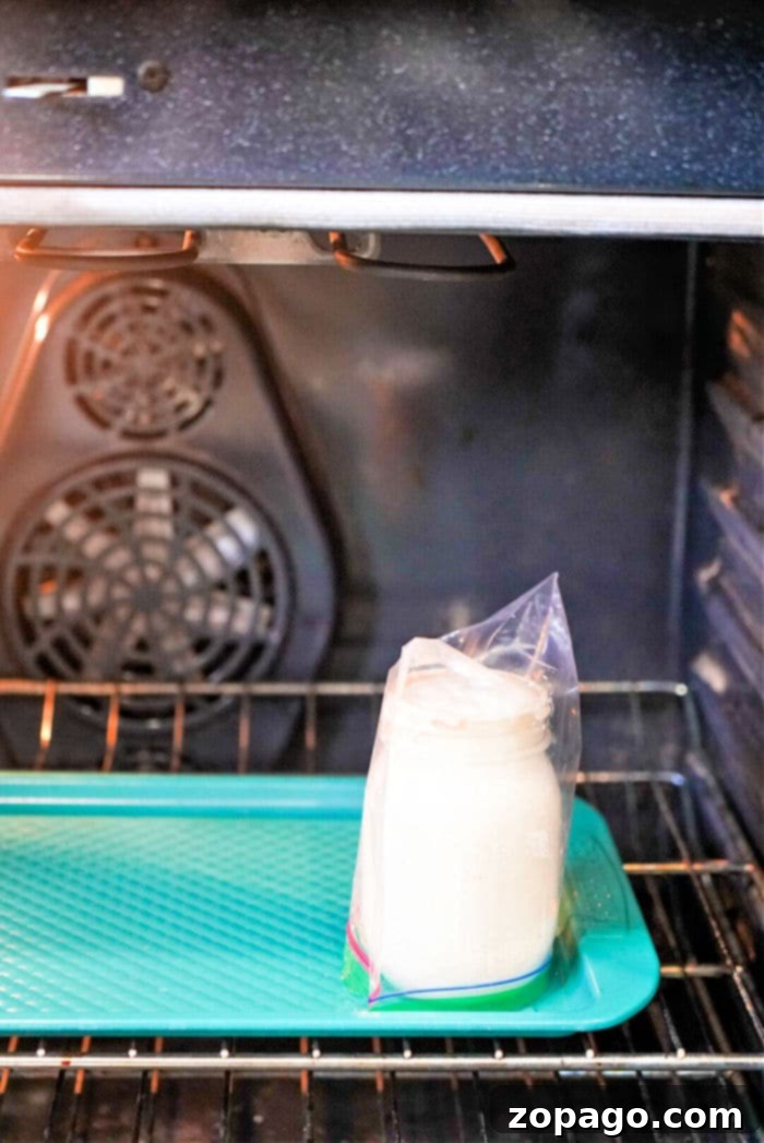 Homemade Sourdough Starter with All-Purpose Flour 6 A glass jar sits in a plastic bag on a tray inside an oven, with a fan visible in the back. This setup is perfect for those learning how to make sourdough starter from scratch, as it maintains just the right environment for homemade fermentation.
