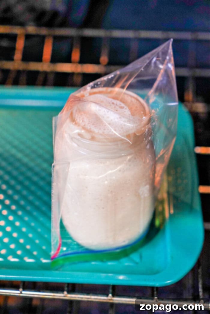 Homemade Sourdough Starter with All-Purpose Flour 8 A jar with bubbling liquid sits in a plastic bag on a teal tray in the oven, reminiscent of a crucial step when learning how to make sourdough starter from scratch.