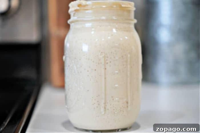 Homemade Sourdough Starter with All-Purpose Flour 10 A glass jar filled with creamy, light beige sourdough starter, reminiscent of the process of how to make sourdough starter from scratch, sits elegantly on a kitchen counter.