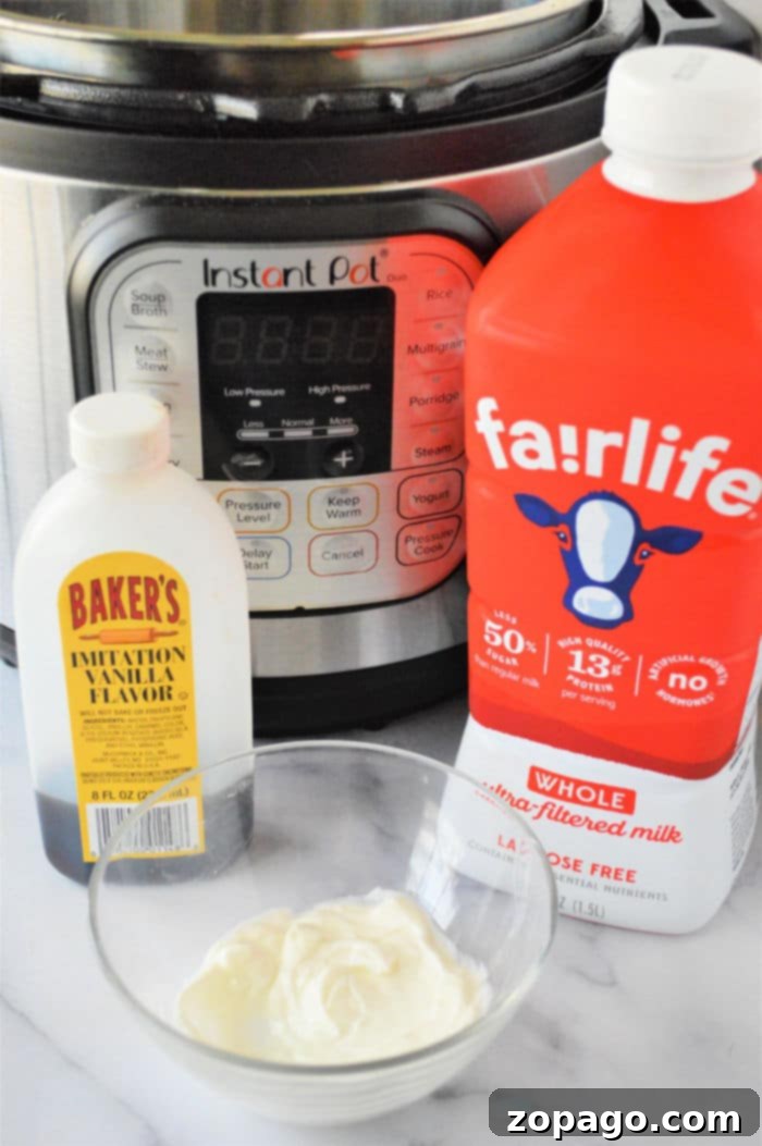 Effortless Pressure Cooker Yogurt 10 Pressure Cooker Yogurt - Family Favorite