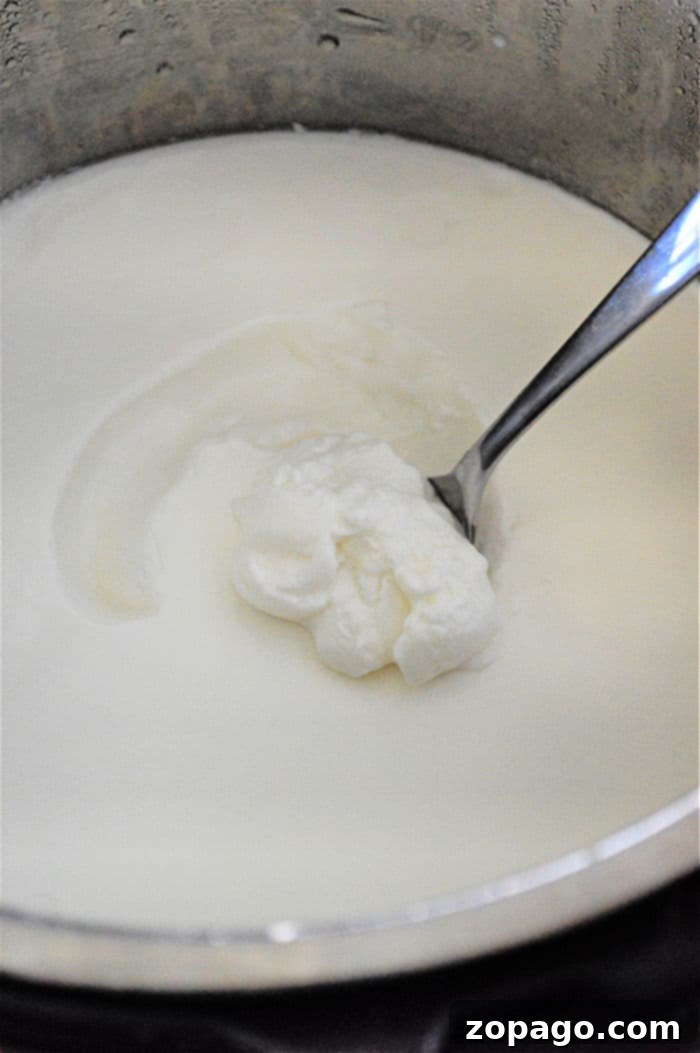 Effortless Pressure Cooker Yogurt 11 Yogurt Ninja Foodi - Versatile Cooking