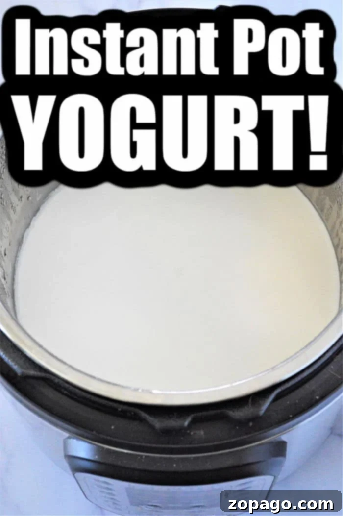 Homemade Pressure Cooker Yogurt 5 Pressure cooker yogurt recipe in progress, showing the milk heating up.