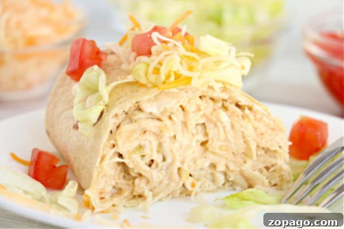 Crispy Air Fryer Chicken Chimichangas 10 air fryer burritos