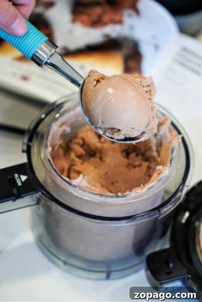Ninja Creami Master Your Own Sweet Treats 8 Various homemade frozen treats made with Ninja Creami, including smoothies and ice cream