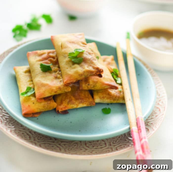 Crafting Your Own Egg Roll Wrappers 10 Crispy homemade egg rolls served with dipping sauce