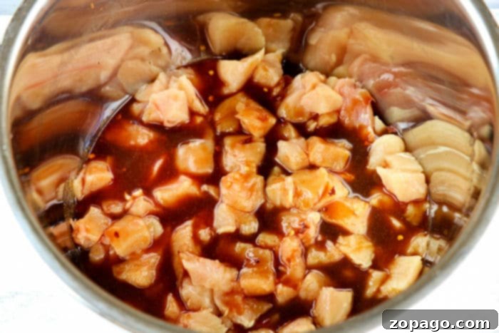 Flavorful Asian Chicken 6 Cooked Instant Pot chicken with sauce.