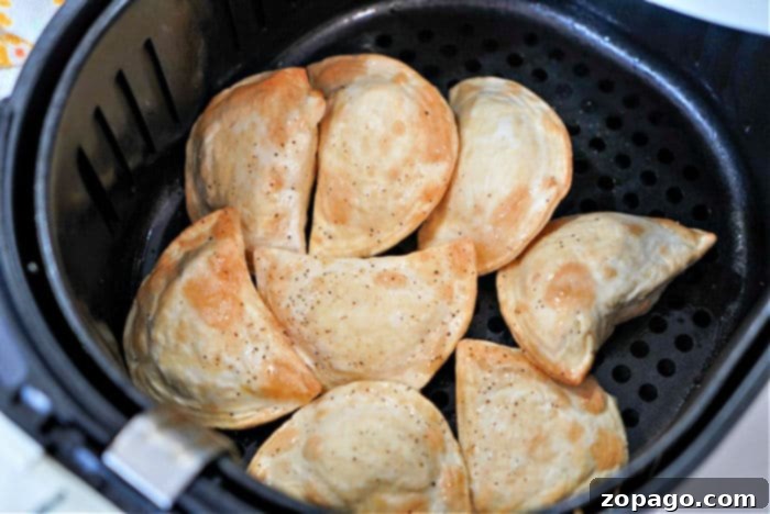 Crispy Air Fryer Frozen Pierogies 10 Close-up of golden brown Frozen Pierogies in an Air Fryer, showcasing their perfectly crispy texture.