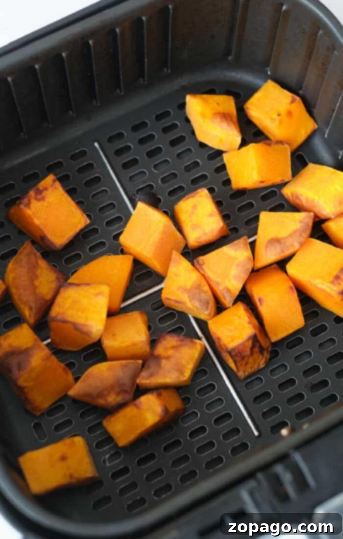 Crispy Air Fryer Butternut Squash 5 Golden cubes of air fryer butternut squash roasted to perfection, ready to enjoy straight from the basket.