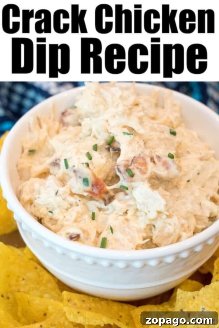 Cheese A Universe of Flavors 4 Creamy and cheesy crack chicken dip, perfect for dipping.