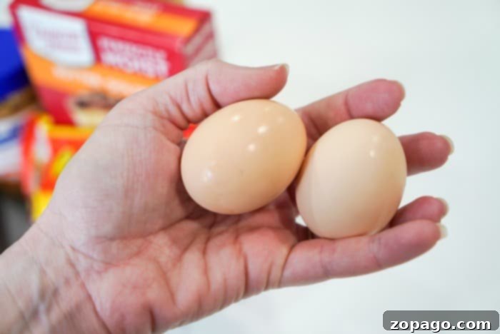 A World of Eggs 8 eggs