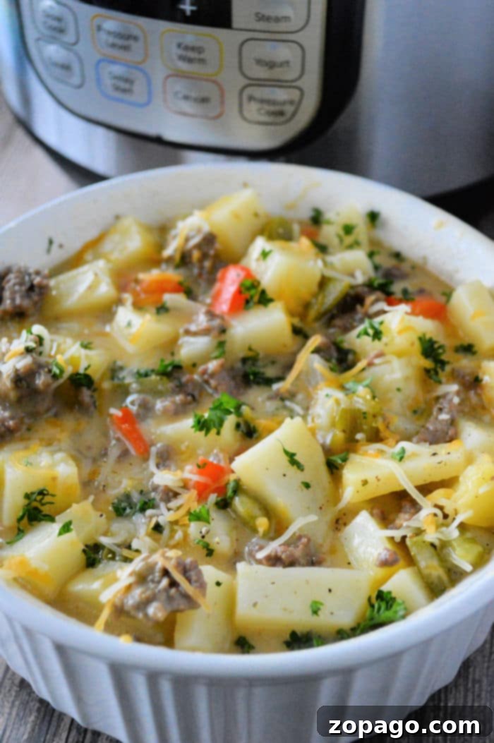 Hearty Instant Pot Ground Beef and Potatoes 2 Instant Pot Ground Beef and Potatoes