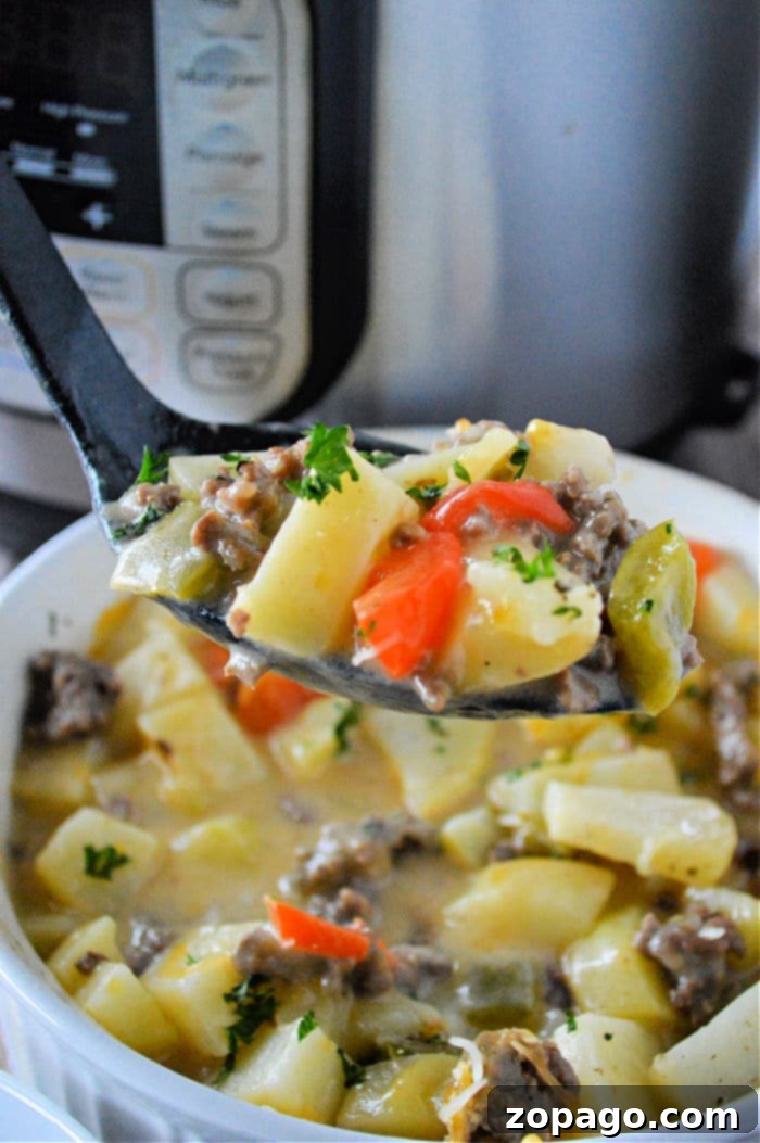 Hearty Instant Pot Ground Beef and Potatoes 7 Beef and Potatoes dish in a bowl