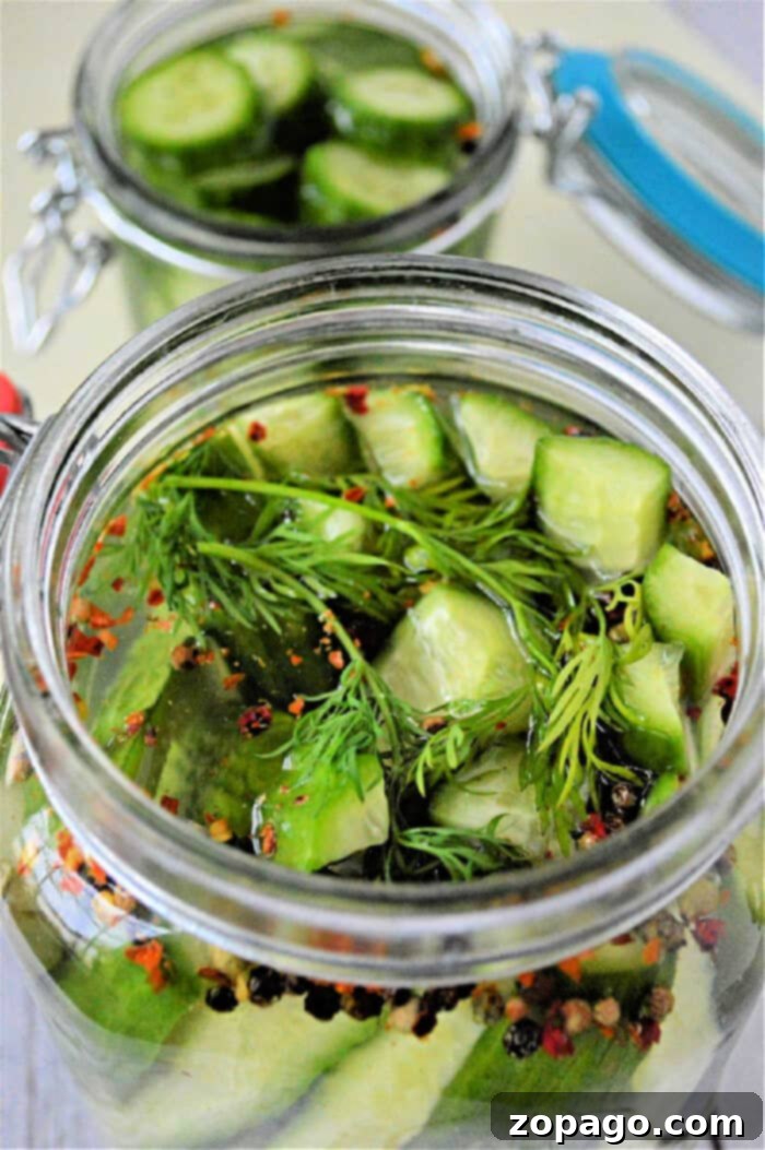 Crisp Homemade Dill Pickles 6 Several jars of homemade no-boil refrigerator pickles, freshly sealed and ready for chilling.