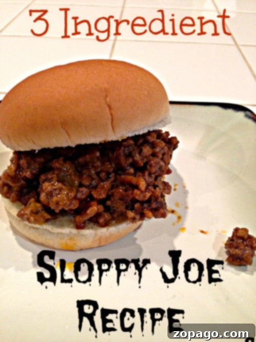 Here's a really easy sloppy joe recipe that is homemade and only requires a few ingredients to make. Your whole family will enjoy this comfort meal and I bet you never realized just how easy they were to make from scratch! Use just 3 basic ingredients for a tangy yet sweet meal! #sloppyjoes #homemade #sauce #easy #sloppyjoe easy sloppy joe recipe