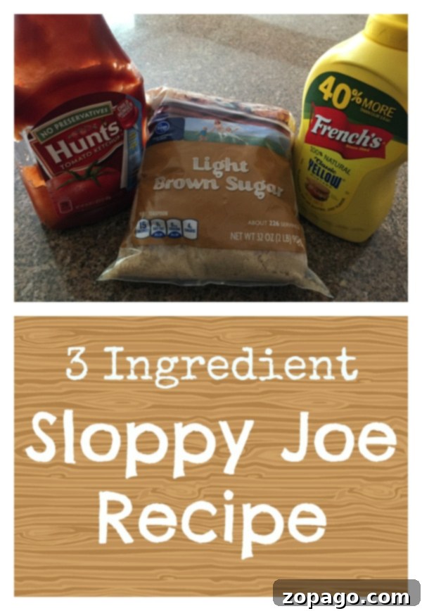 Here's a really easy sloppy joe recipe that is homemade and only requires a few ingredients to make. Your whole family will enjoy this comfort meal and I bet you never realized just how easy they were to make from scratch! Use just 3 basic ingredients for a tangy yet sweet meal! #sloppyjoes #homemade #sauce #easy #sloppyjoe easy sloppy joe recipe