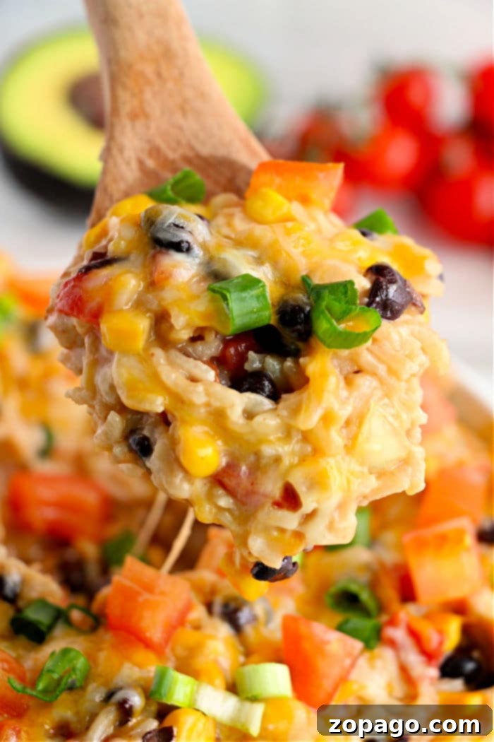 Instant Pot Fiesta Chicken and Rice 2 Instant Pot Mexican Chicken and Rice ready to serve