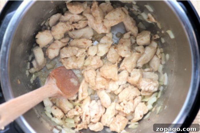 Instant Pot Fiesta Chicken and Rice 6 instant pot chicken and rice ingredients layered