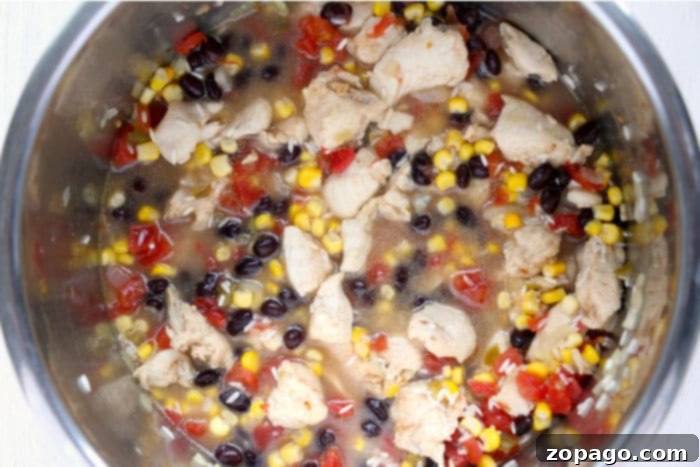 Instant Pot Fiesta Chicken and Rice 8 chicken and rice recipe served with toppings