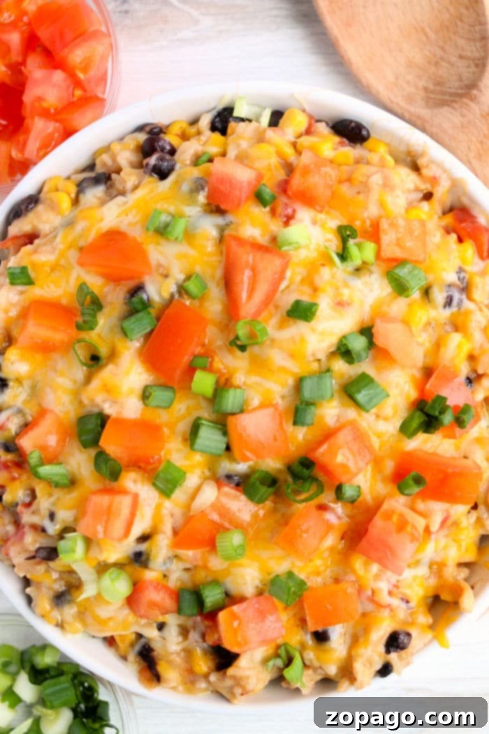 Instant Pot Fiesta Chicken and Rice 9 Instant Pot Mexican Chicken and Rice recipe with fresh garnishes