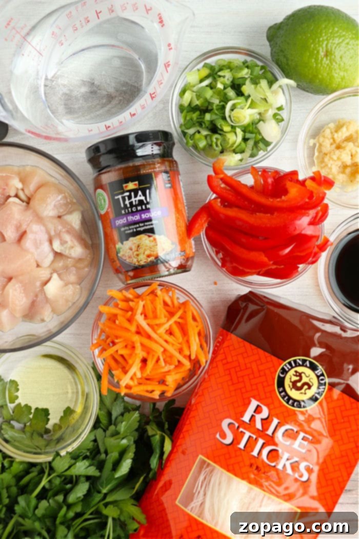 Easy Instant Pot Pad Thai 3 Key ingredients laid out for Instant Pot Pad Thai, including rice noodles, chicken, sauce, and fresh vegetables.