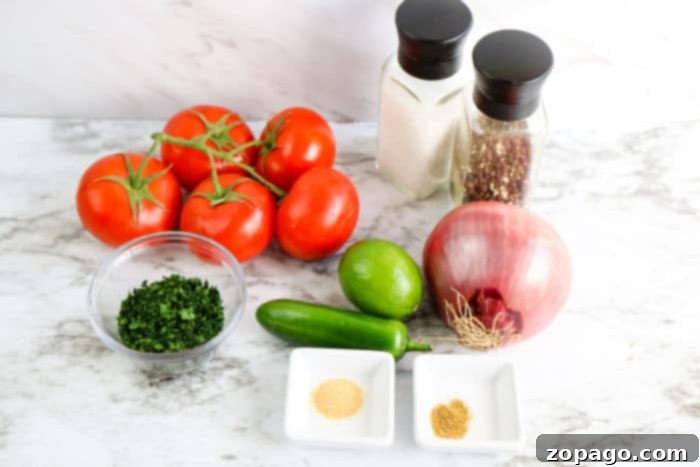Easy 3-Ingredient Pico de Gallo 4 Pico de Gallo ingredients laid out