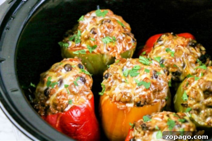 Slow Cooker Stuffed Bell Peppers 6 stuffed peppers slow cooker