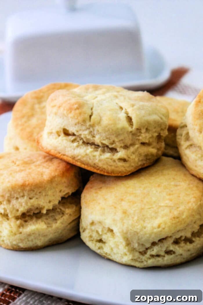 Golden Air Fryer Biscuits 2 A plate of freshly baked air fryer biscuits stacked on top of each other. The golden brown biscuits boast a soft, fluffy texture. A butter dish is blurred in the background.