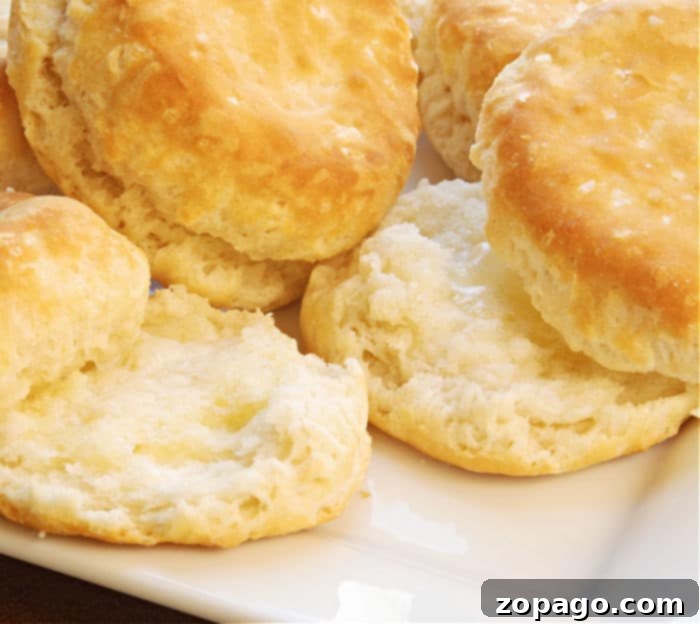 Golden Air Fryer Biscuits 6 Homemade air fryer biscuits ready to serve.