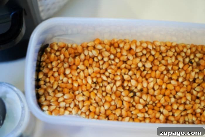 Perfect Ninja Foodi Popcorn 3 Close-up of unpopped popcorn kernels, ready for cooking.