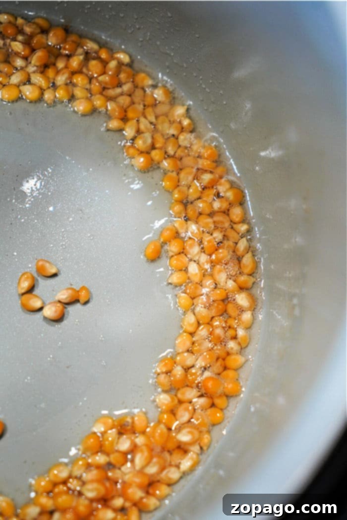 Popcorn Perfection with Ninja Foodi 5 Popcorn kernels immediately sizzling in hot coconut oil inside the Ninja Foodi.