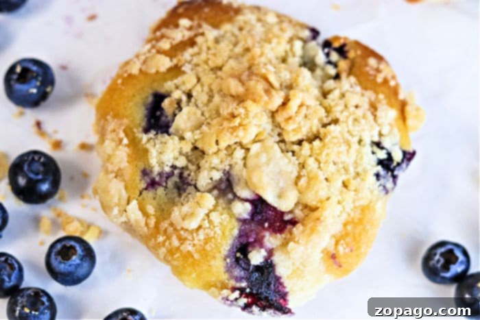 Crunchy Muffin Streusel 6 Two streusel-topped muffins, highlighting the delightful crumb texture.