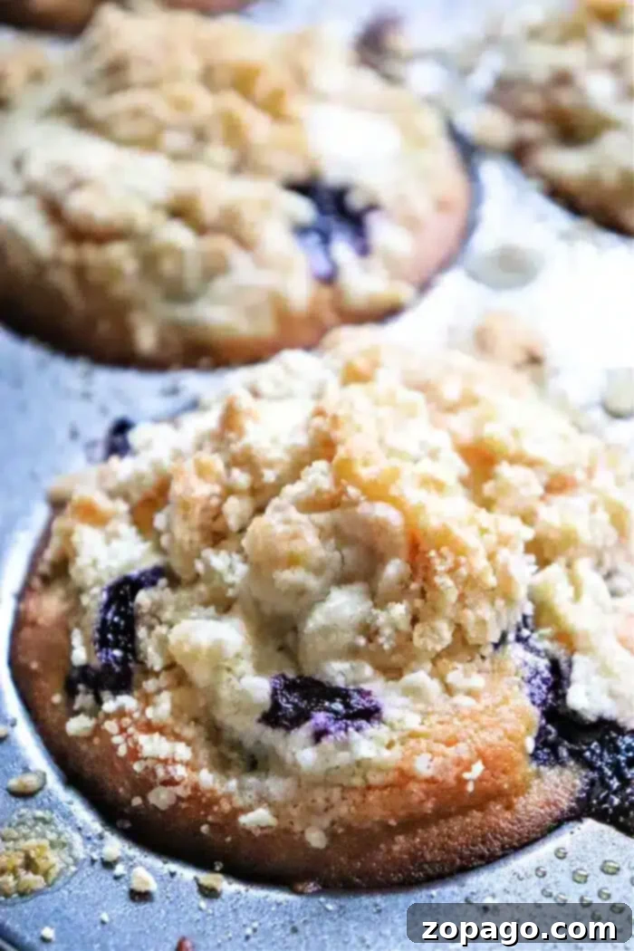 Just the Tops: Blueberry Muffin Perfection 2 A close-up of golden-brown blueberry muffin tops, generously adorned with a crumbly streusel topping, cooling on a baking tray. Juicy blueberries peek through the delicious streusel, promising a burst of flavor with every bite.