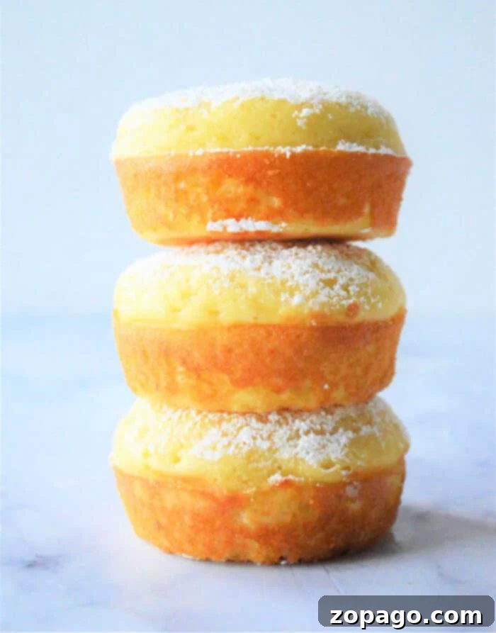 Simple & Fluffy Bisquick Muffins 11 How to Make Bisquick Muffins, showing a close-up of a muffin with a golden brown top.