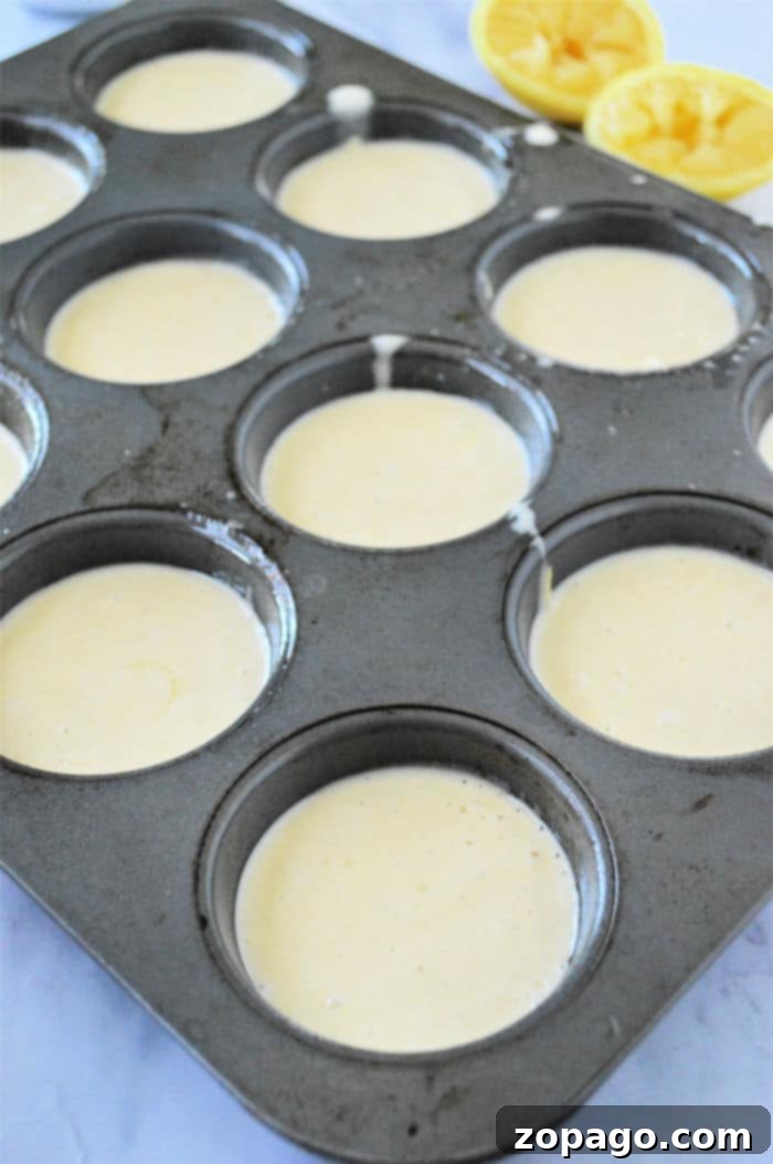 Simple & Fluffy Bisquick Muffins 6 Close-up of freshly baked Bisquick lemon muffins, lightly dusted with powdered sugar.