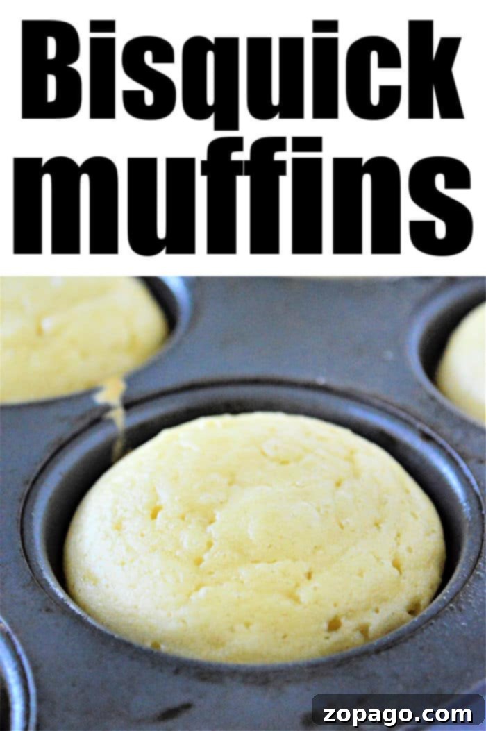 Simple & Fluffy Bisquick Muffins 7 A plate of freshly baked Bisquick breakfast muffins, ready to be served.
