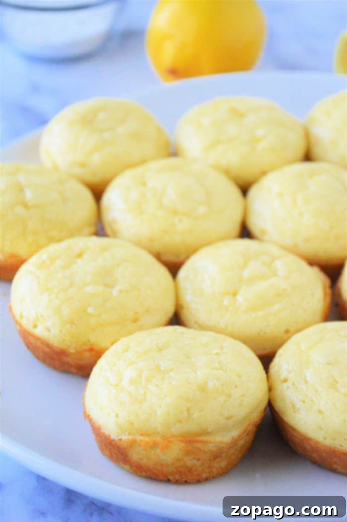 Simple & Fluffy Bisquick Muffins 8 Close-up of muffins made with Bisquick, showcasing their fluffy texture.