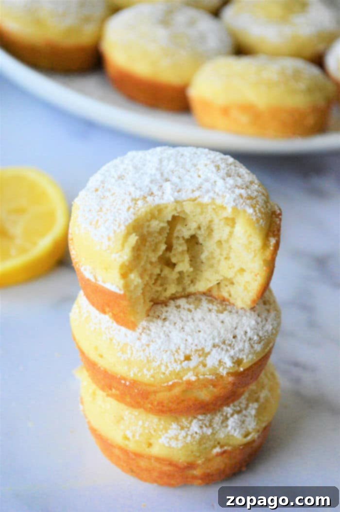 Simple & Fluffy Bisquick Muffins 9 A plate of golden brown Bisquick pancake muffins, perfect for breakfast or a snack.