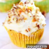 Zucchini Carrot Morning Glory Muffins 8 Zucchini Carrot Muffin