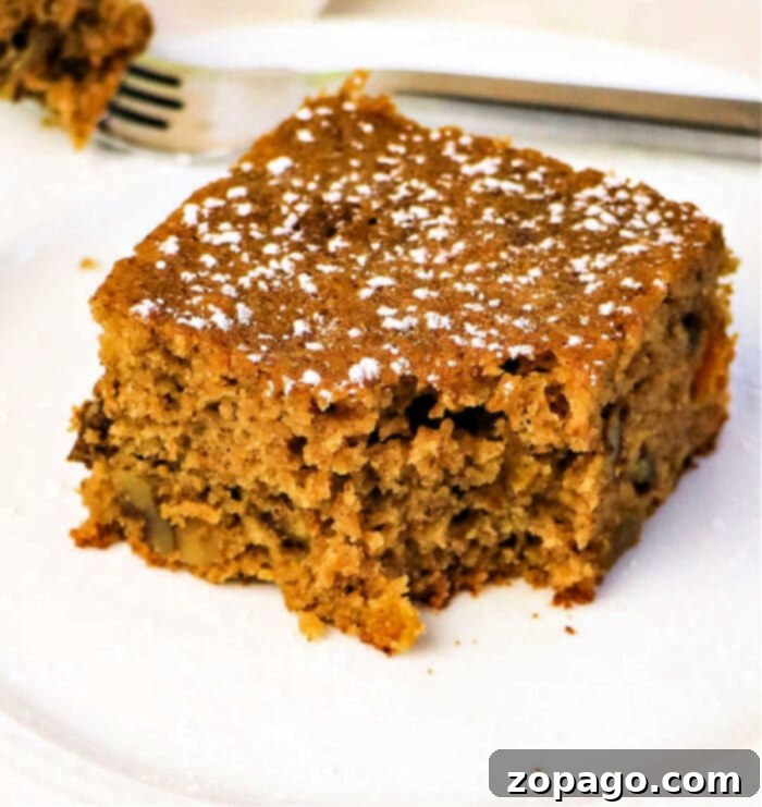 Warm Spiced Applesauce Cake 6 Applesauce Spice Cake recipe with a dusting of powdered sugar