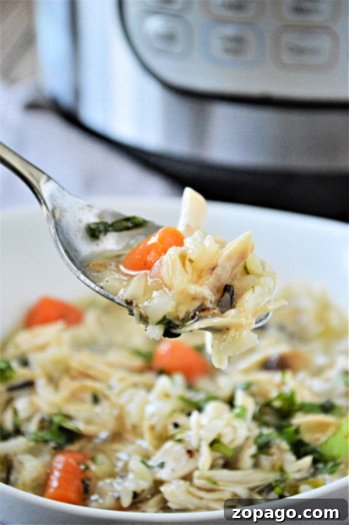 Comforting Instant Pot Chicken and Rice Soup 2 Hearty Instant Pot Chicken Rice Soup with wild rice, carrots, and chicken pieces