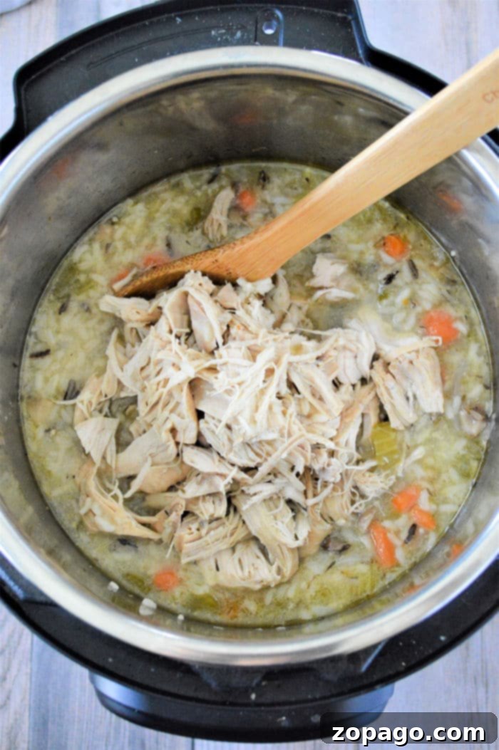 Comforting Instant Pot Chicken and Rice Soup 5 A serving of pressure cooker chicken rice soup in a bowl with a spoon, highlighting its comforting nature.