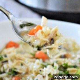 Comforting Instant Pot Chicken and Rice Soup 6 A spoonful of rich chicken and wild rice soup above a steaming bowl, with an Instant Pot in the background.