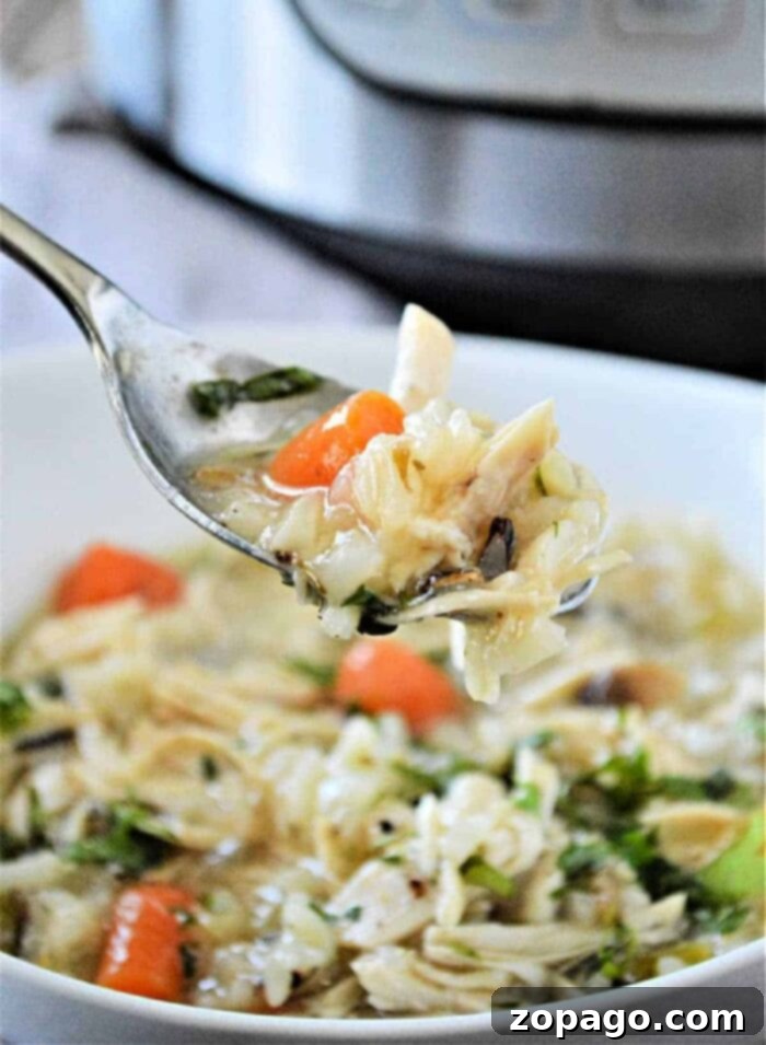 Comforting Instant Pot Chicken and Rice Soup 7 A top-down view of a bowl of Instant Pot Chicken and Rice Soup, ready to be enjoyed.