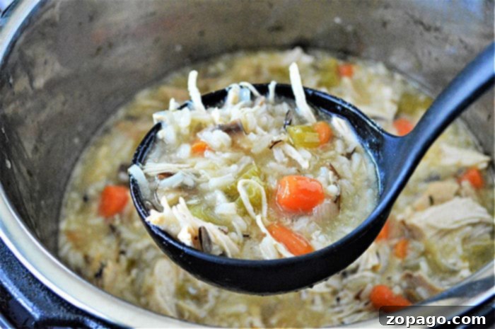 Comforting Instant Pot Chicken and Rice Soup 8 A ladle scoops hearty chicken and rice soup from the Ninja Foodi, brimming with tender vegetables and wild rice.